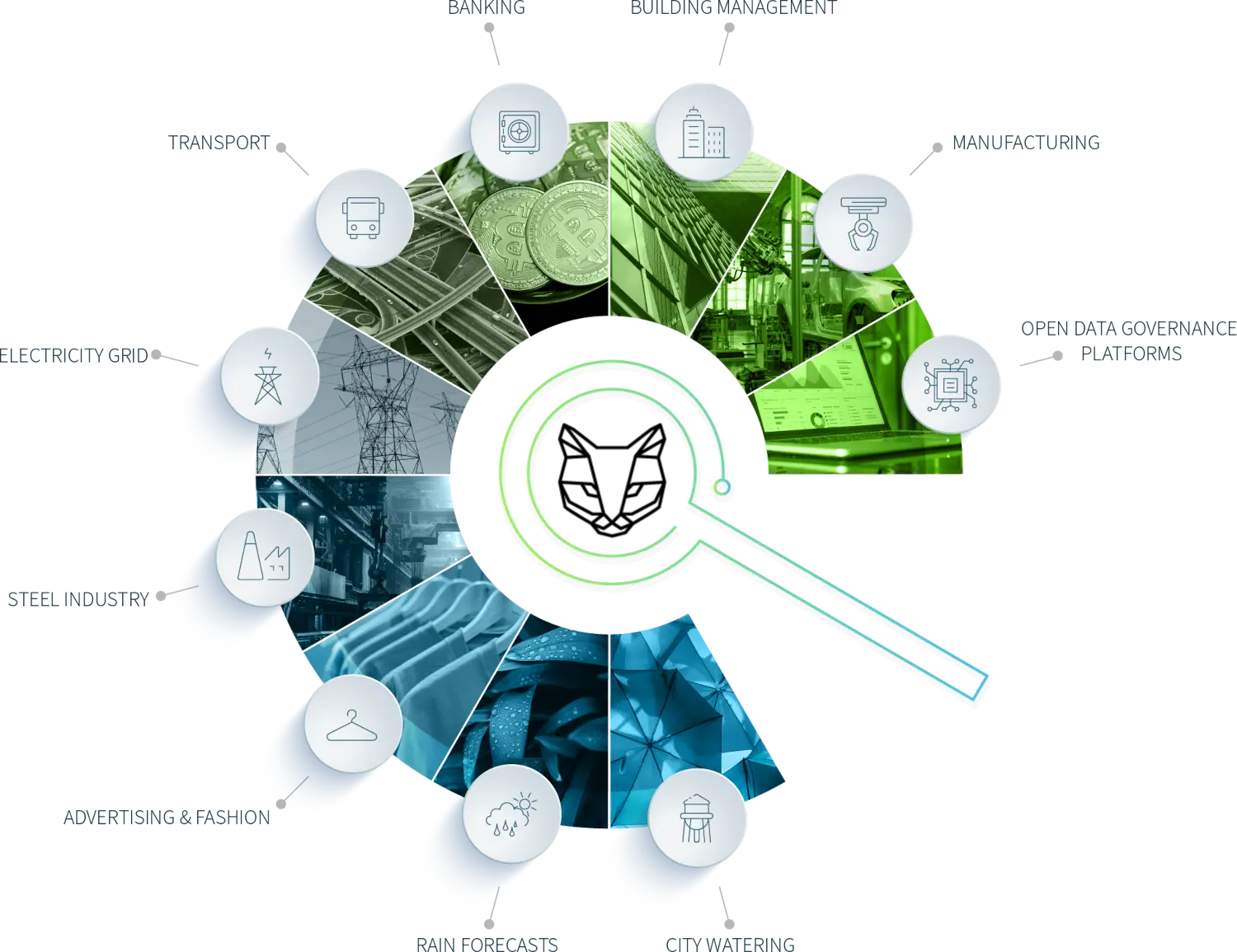 Datathings domains of expertise